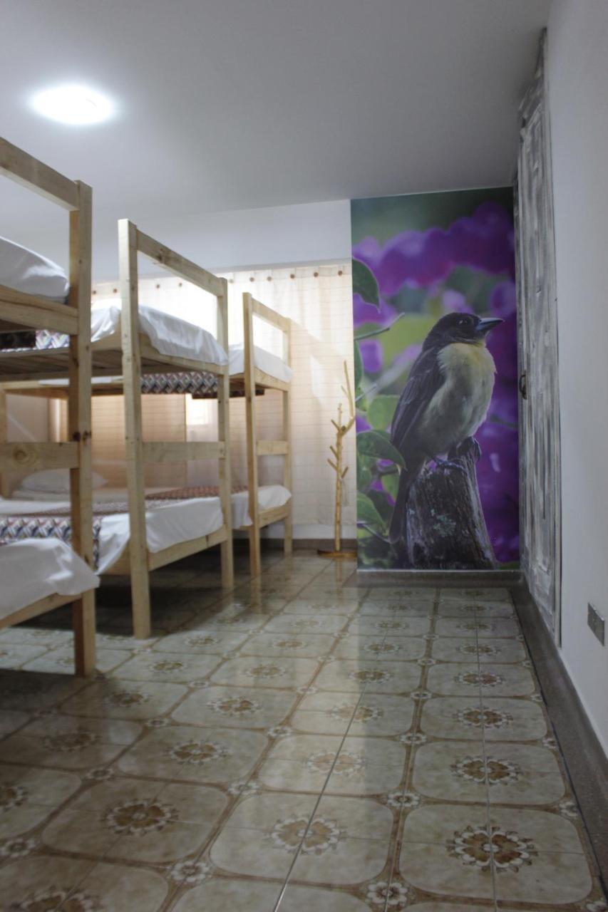 La Otra Mitad Hostel Armenia  Ngoại thất bức ảnh