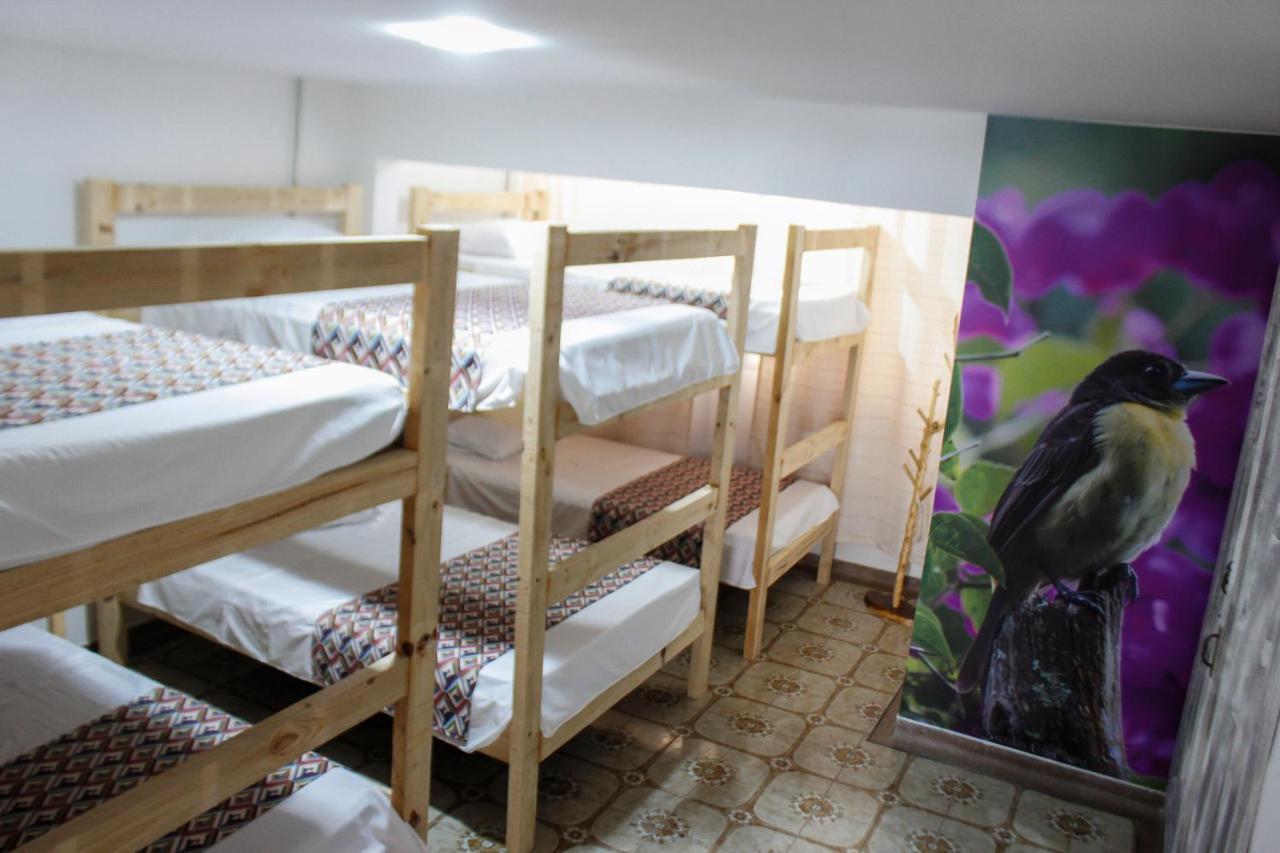 La Otra Mitad Hostel Armenia  Ngoại thất bức ảnh